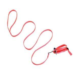 Bird parrot towing rope - Red