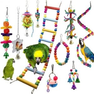 Parrot nibbles a toy - Toy