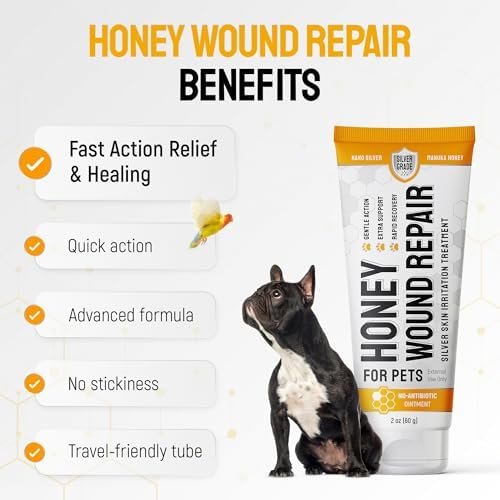 SILVER GRADE Dog Wound Care with Manuka Honey & Colloidal Silver for Scratches & Skin Irritations – Cat & Dog Hot Spot Treatment Gel Works as Honey Rapid Wound Repair for Horses – for All Pets – 2-Oz - Image 14