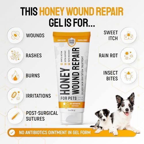 SILVER GRADE Dog Wound Care with Manuka Honey & Colloidal Silver for Scratches & Skin Irritations – Cat & Dog Hot Spot Treatment Gel Works as Honey Rapid Wound Repair for Horses – for All Pets – 2-Oz - Image 10