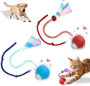 Interactive Cat Toys Smart Ball for Cats & Dogs! Now with 2 Rapid Tails. Features: 360?Auto-Rolling, Motion Activation& Bird Sounds. Perfect for Indoor Pet Exercise & Fun. (Red?Blue)