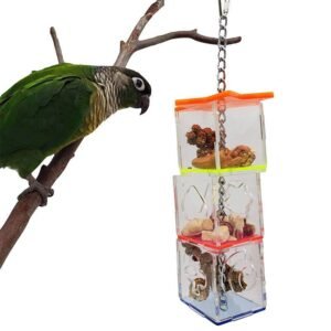 Bird Foraging Device Acrylic Parrot Educational Toy Food Container Fruit Nuts Bite Parrot Toys - 5X5X32
