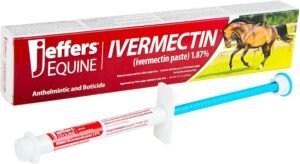 Jeffers 1.87% Ivermectin Gel Dewormer for Horses | Apple Flavored | 1 Pack