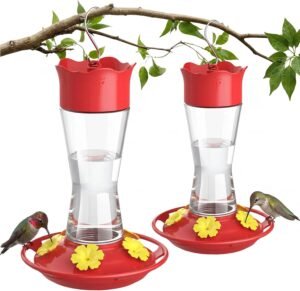 Kingsyard 2-Pack Glass Hummingbird Feeder for Outdoors Hanging, 10 oz Leak-Proof Humming Bird Feeders with Ant Moat & Bee Proof Feeding Ports, Hummingbird Gift for Bird Lovers (Clear)