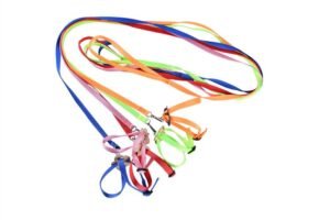 Bird parrot towing rope - Green