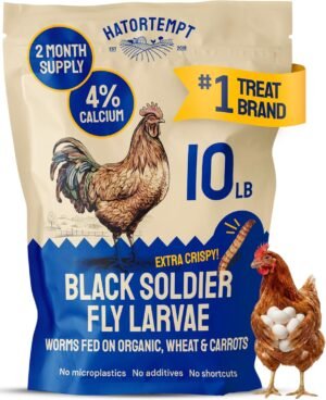 Hatortempt 10lb Black Soldier Fly Larvae for Chickens, Calci Chicken Treats