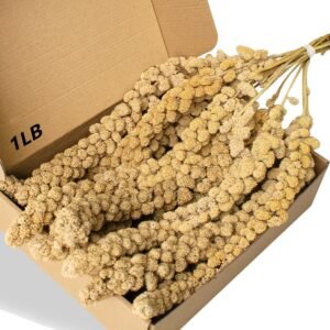 Spray Millet Treat for Birds Parakeets, Millet for Birds, Natural Bird Food