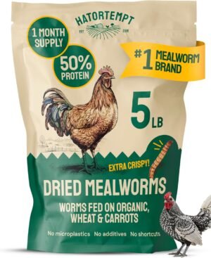 Hatortempt 5lb Dried Mealworms for Chickens & Wild Birds, Chicken Feed
