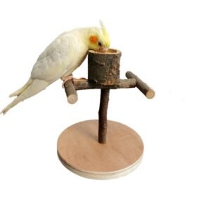 Solid Wood Parrot Station Frame Training Bird Shelf Parrot Toys - Section D