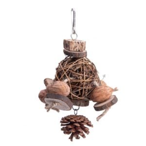 Fruit Wood Parrot Toy Bird Supplies - Picture Color