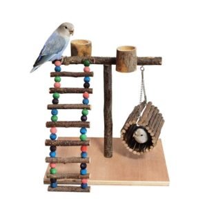 Solid Wood Parrot Station Frame Training Bird Shelf Parrot Toys - Section A