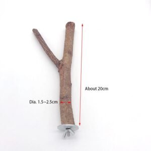 Parrot Log Tree Branch Standing Pole - Dia. 2.5cm 20cm